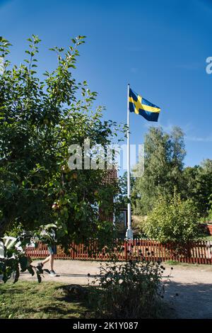 Schweden Flagge auf Fahnenmast auf einem Bauernhof vor einem Baum in Smalland. Die blaue und gelbe Flagge fliegt im Wind. Detailaufnahme Stockfoto