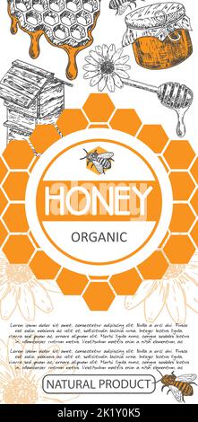 Bio Honig Vektor Biene Lebensmittel Glas Label Design Stock Vektor