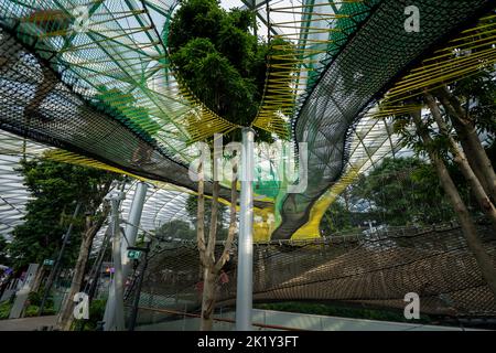 Wandernetze im Çanopy Park am Jewel Changi Airport Terminal, Singapur Stockfoto