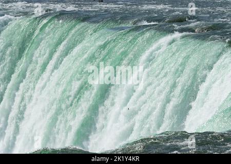 Ein Blick auf die Niagarafälle aus der Nähe mit einem Vogel im Flug; donnerndes türkisfarbenes Wasser am Rand der Wasserfälle. Stockfoto