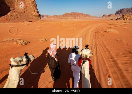 Zwei beduinen aus jordanien wandern mit ihren Kamelen in der Wüste und bringen Touristen durch die Wadi Rum Wüste Stockfoto