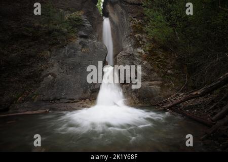 Punchbowl Falls Jasper National Park Stockfoto