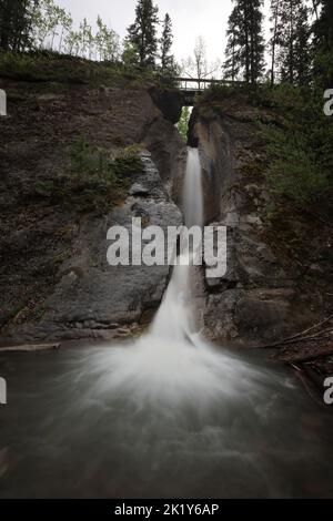 Punchbowl Falls Jasper National Park Stockfoto