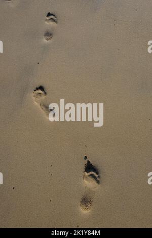 Fußspuren im Sand am Strand Stockfoto