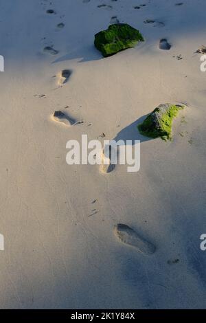 Fußspuren im Sand am Strand Stockfoto