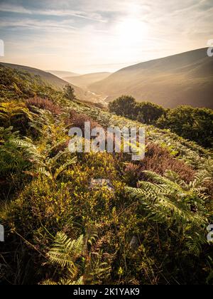 Olympus Digital Camera Credit: gary telford/Alamy Live News Stockfoto