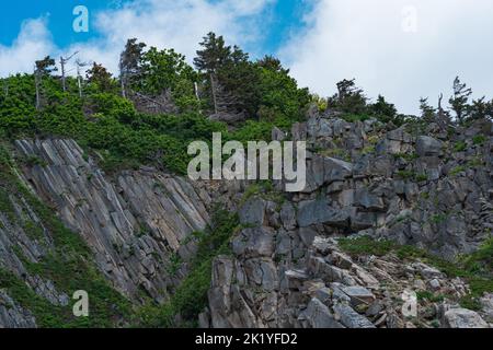 Küstenlandschaft, schöne bewaldete Felsen, die aus säulenbasalt gebildet werden Stockfoto