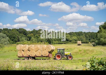 Isolierter Traktor auf einem ländlichen Feld in der britischen Landschaft, der im Sommersonnenschein einen Anhänger mit großen runden Heuballen zieht. Stockfoto