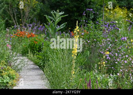 Ein Gehweg im Blumengarten wunderschön. Stockfoto