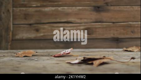 Bild des Herbstverkaufstextes über Blättern auf Holzhintergrund Stockfoto