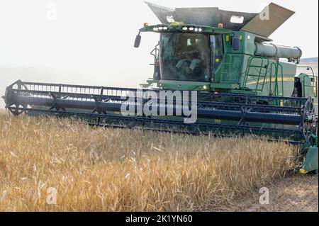 ISRAEL, Negev semi-ARId Region, Ofakim, 4000 Hektar großes Landwirtschaftsunternehmen von Kibbutz Ruchama, Dorot und Tselim, Gerstenernte mit John Deere Mähdrescher mit sofortiger Strohballenpresse / Israel, Negev Wüste, Ernte von Gerste auf einer 4000 Hektar Kibbutz Farm Stockfoto