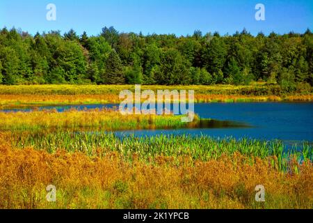 Upper Klondike Pond, zusammen mit seiner Schwester Lower Klondike Pond, auf dem Quellwasser des Lehigh River in Pennsylvania Pocono Mountains, wo importa Stockfoto