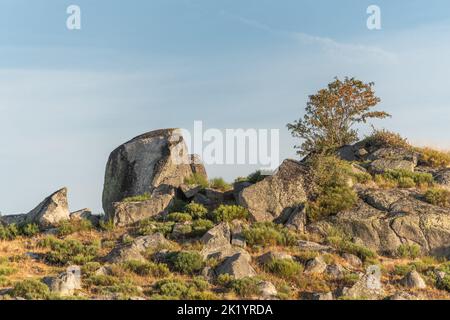 Landschaft in Aubrac im Sommer, inspirierend, unendlich, bezaubernd, magisch, Friedlich, bezaubernd. Cevennes Frankreich. Stockfoto