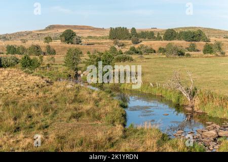 Landschaft in Aubrac im Sommer, inspirierend, unendlich, bezaubernd, magisch, Friedlich, bezaubernd. Cevennes Frankreich. Stockfoto