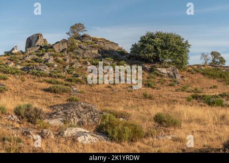 Landschaft in Aubrac im Sommer, inspirierend, unendlich, bezaubernd, magisch, Friedlich, bezaubernd. Cevennes Frankreich. Stockfoto