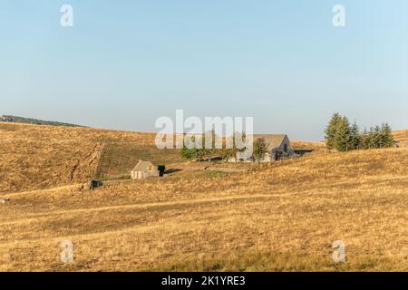 Landschaft in Aubrac im Sommer, inspirierend, unendlich, bezaubernd, magisch, Friedlich, bezaubernd. Cevennes Frankreich. Stockfoto