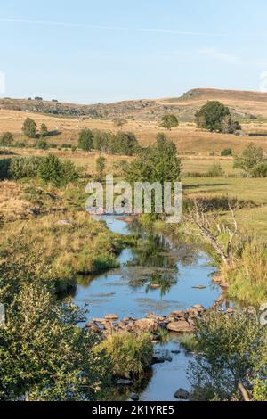 Landschaft in Aubrac im Sommer, inspirierend, unendlich, bezaubernd, magisch, Friedlich, bezaubernd. Cevennes Frankreich. Stockfoto