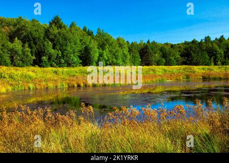 Upper Klondike Pond, zusammen mit seiner Schwester Lower Klondike Pond, auf dem Quellwasser des Lehigh River in Pennsylvania Pocono Mountains, wo importa Stockfoto