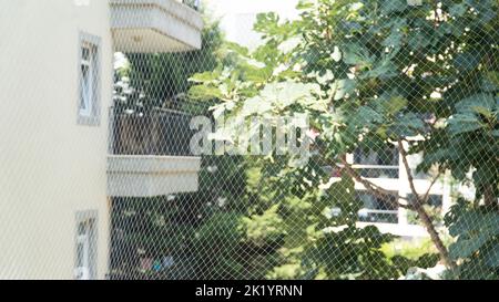 Katzenschutznetz auf dem Balkon. Balkonnetz für Katzen Stockfoto