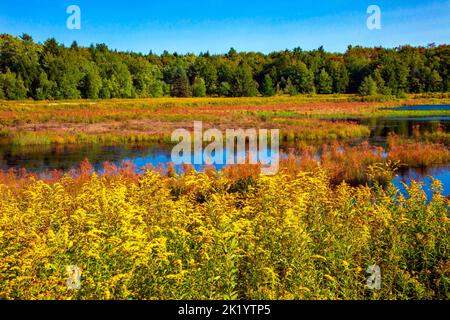 Upper Klondike Pond, zusammen mit seiner Schwester Lower Klondike Pond, auf dem Quellwasser des Lehigh River in Pennsylvania Pocono Mountains, wo importa Stockfoto