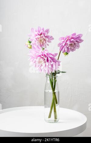 Bouquet von rosa Dahlia Blumen in einer Glasflasche Vase. Stockfoto