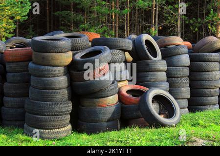 Ein Haufen alter Autoreifen liegt auf dem Gras vor dem Hintergrund des Waldes. Ökologisches Konzept. Stockfoto