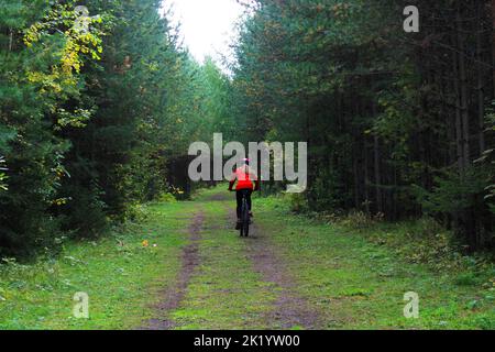 Ein Mädchen in Sportbekleidung und einem Helm fährt mit dem Fahrrad durch den Wald. Rückansicht. Stockfoto