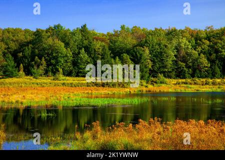 Upper Klondike Pond, zusammen mit seiner Schwester Lower Klondike Pond, auf dem Quellwasser des Lehigh River in Pennsylvania Pocono Mountains, wo importa Stockfoto