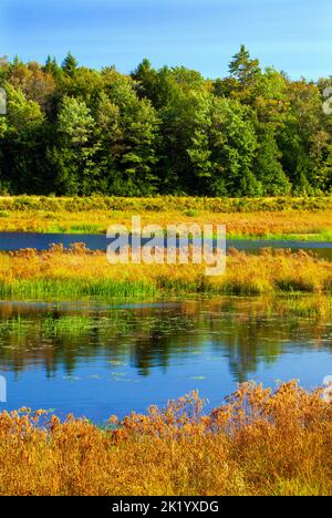 Upper Klondike Pond, zusammen mit seiner Schwester Lower Klondike Pond, auf dem Quellwasser des Lehigh River in Pennsylvania Pocono Mountains, wo importa Stockfoto