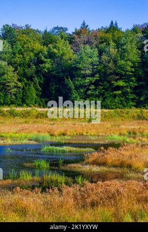 Upper Klondike Pond, zusammen mit seiner Schwester Lower Klondike Pond, auf dem Quellwasser des Lehigh River in Pennsylvania Pocono Mountains, wo importa Stockfoto