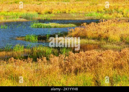 Upper Klondike Pond, zusammen mit seiner Schwester Lower Klondike Pond, auf dem Quellwasser des Lehigh River in Pennsylvania Pocono Mountains, wo importa Stockfoto