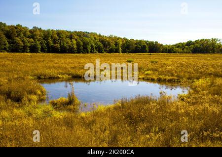 Upper Klondike Pond, zusammen mit seiner Schwester Lower Klondike Pond, auf dem Quellwasser des Lehigh River in Pennsylvania Pocono Mountains, wo importa Stockfoto