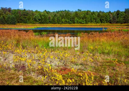 Upper Klondike Pond, zusammen mit seiner Schwester Lower Klondike Pond, auf dem Quellwasser des Lehigh River in Pennsylvania Pocono Mountains, wo importa Stockfoto