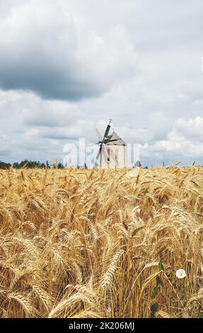 Alte Windmühle, die hinter dem Weizenfeld mit einem bewölkten Himmel sitzt Stockfoto