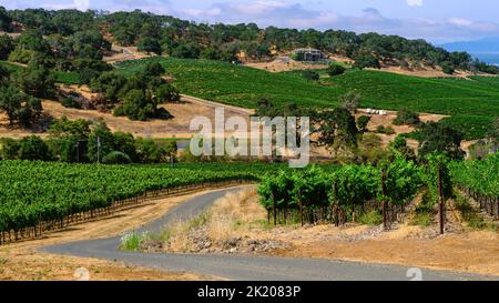 Napa Valley, Kalifornien. Haus auf einem Weinberg mit schöner Umgebung Stockfoto