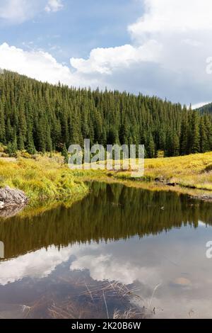 Ecoregion der südlichen Rocky Mountains, montanes Ökosystem, Guanella Pass Road, Pike National Forest, Colorado, USA Stockfoto