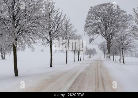 Staubige Straße mit Neuschnee Stockfoto