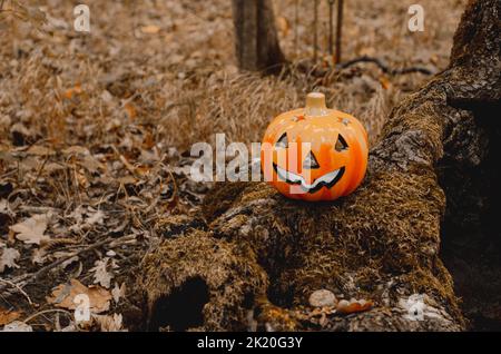 Halloween Dekoration im Wald. Symbole des Herbsturlaubs: Lampe, Laterne, Kerzen, farbige Blätter, Dunkelheit. Stockfoto