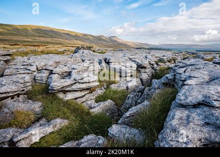 Whernside ist der höchste Berg von Yorkshire's 'Three Peaks' und liegt in der Nähe von Chapel le Dale im Yorkshire Dales National Park. Stockfoto