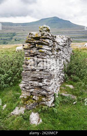 Ingleborough ist einer der berühmten Yorkshire 'Three Peaks'.dieser kurze Abschnitt der Kalksteinwand hat interessante Texturen, hat aber keinen offensichtlichen Zweck. Stockfoto