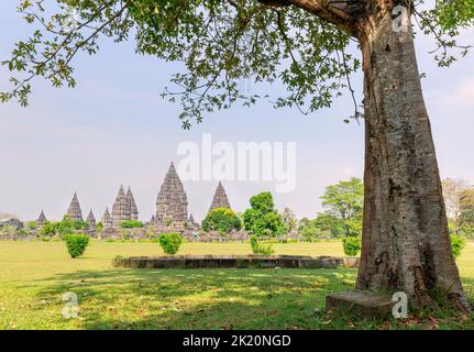 Panorama des Prambanan-Tempels in der Nähe von Yogyakarta, Zentral-Java, Indonesien Stockfoto