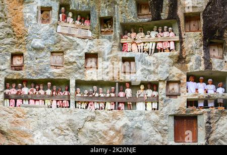 Traditionelles Tau Tau, Holzstatuen, die Tote in einer Felswand in der Nähe von Lemo, Sulawesi, Indonesien darstellen Stockfoto