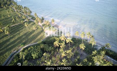 Drohnenansicht des Strandes von Sao Miguel dos Milagres, in Alagoas, Brasilien. Stockfoto