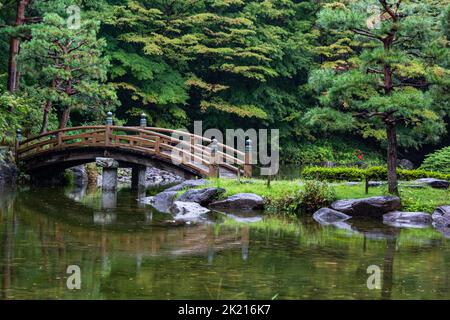 Der Tochigi Central Park wurde vom Landschaftsarchitekten Kunie Ito entworfen, der auch den Kitanomaru Park und den Showa Memorial National Park in Tokio entwickelte. Das e Stockfoto