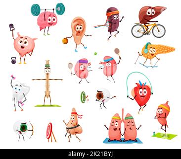 Cartoon lustige menschliche Organe auf Yoga-Sport und Fitness. Vektor-Zeichen Blase, Gehirn, Ohr und Niere, Leber, Wirbelsäule und Zahn. Milz, Lunge, Herz und Magen, Nase, Augapfel und Bauchspeicheldrüse Stock Vektor