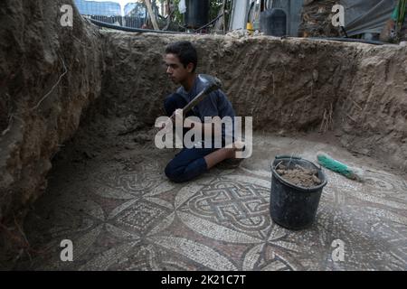 Al Bureij Camp, Gaza. 21. September 2022. Ahmad al-Nabahin säubert einen Mosaikboden, den er auf seiner Farm entdeckt hatte und der, wie Beamte mitteilte, aus der byzantinischen Zeit im Al-Bureij-Lager im zentralen Gazastreifen am Mittwoch, dem 21. September 2022 stammt. Das palästinensische Ministerium für Tourismus und Antiquitäten kündigte die Entdeckung des Mosaiks an, das geschützt werden soll, und ein Ausgrabungsprojekt wird So bald wie möglich beginnen. Foto von Ismael Mohamad/UPI Credit: UPI/Alamy Live News Stockfoto