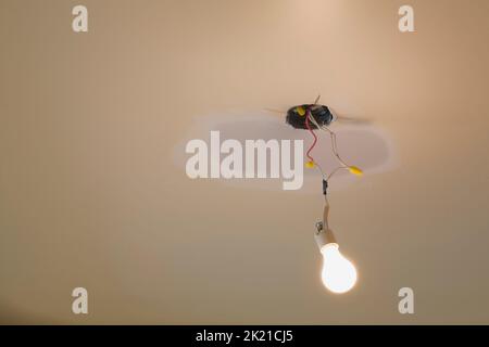 Glühlampe, die an der Decke hängt, Gipskarton wird im Haus repariert. Stockfoto