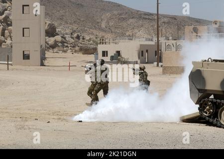 Fort Irwin, Kalifornien, USA. 3. September 2022. US-Soldaten der Armee aus dem 11. Armored Cavalry Regiment demonstrieren Reaktion auf Kontakt, militärische Operationen im städtischen Gelände (MOUT) Pflege unter Beschuss, Kampf Life Saver, Und eine Vielzahl anderer tödlicher Fähigkeiten mit medizinischer Unterstützung von oben am 3. September 2022 für ein Publikum von VIPs in Razish, National Training Center, Fort Irwin, Kalifornien. Quelle: U.S. Army/ZUMA Press Wire Service/ZUMAPRESS.com/Alamy Live News Stockfoto