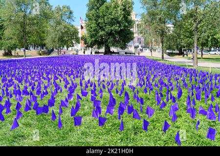 BOSTON, MASSACHUSETTS - 29. August 2022: Tausende von lila Fahnen werden vom State House auf der Liberty Mall von Boston Common gepflanzt, um diejenigen zu ehren, die d Stockfoto