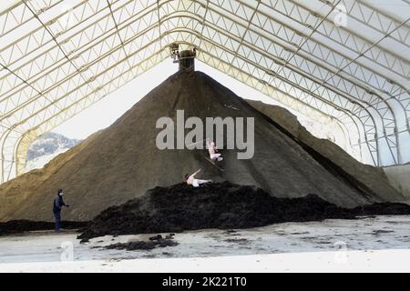 STEVE-O, JACKASS NUMMER ZWEI, 2006 Stockfoto